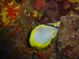 Pousada em Fernando de Noronha
